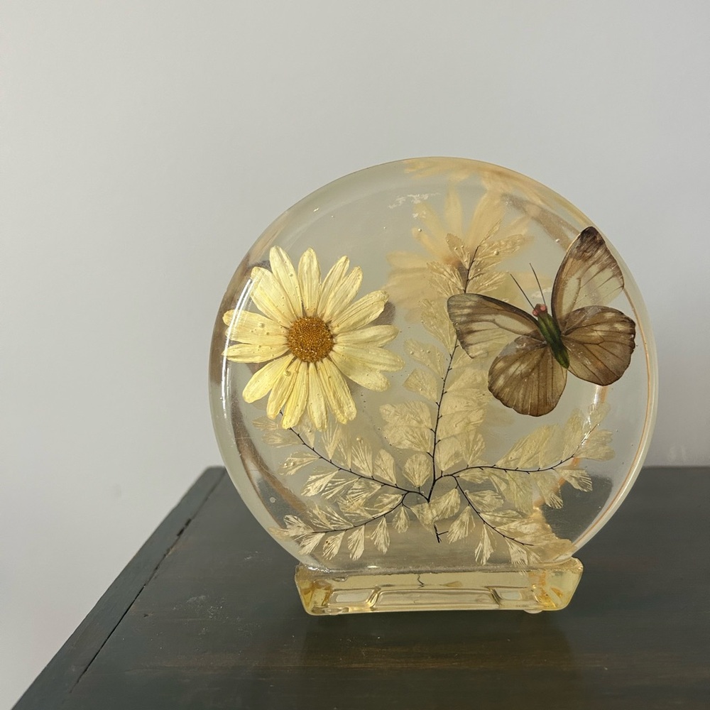 1970s Lucite Napkin Holder Butterfly and Floral